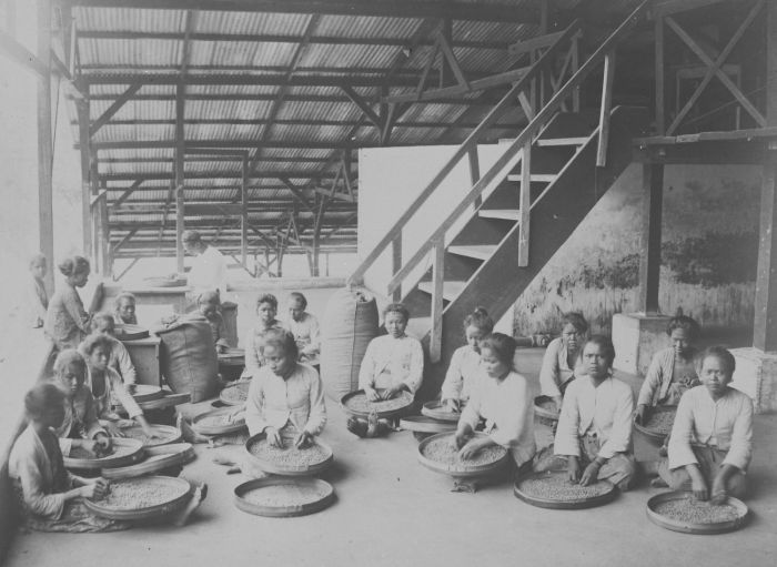 COLLECTION TROPENMUSEUM Sorting coffee beans in a warehouse at the coffee and rubber company Tretes Panggoeng