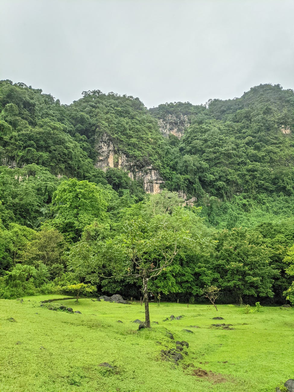 Sulawesi Kopi Toraja: A Taste of Indonesia’s Highland&nbsp;Treasure