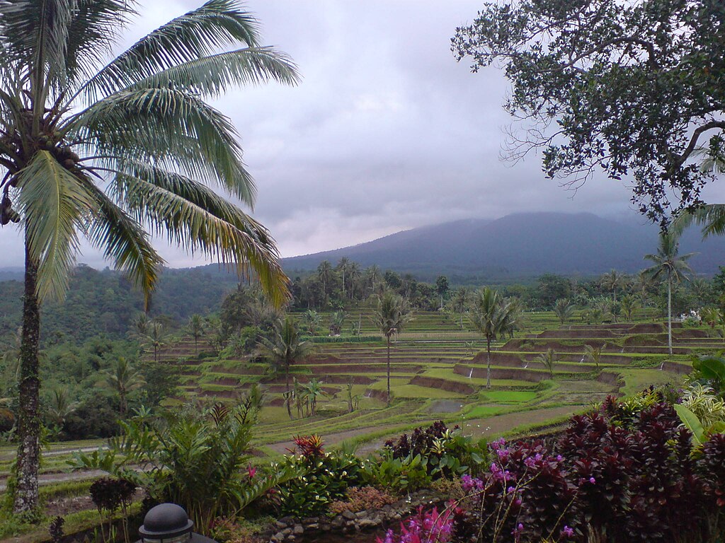 Java Ijen Coffee: Exploring the Volcanic Elegance of Arabica Ijen Raung  