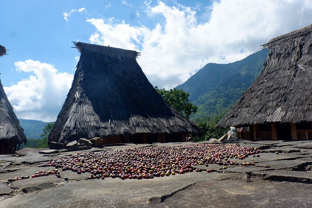 Sejarah Kopi Flores: Warisan Cita Rasa Nusantara dari Timur&nbsp;Indonesia