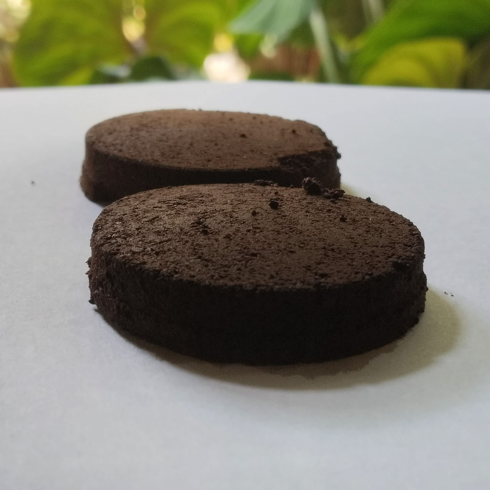 Jangan Dibuang! 15+ Manfaat Ampas Kopi untuk Rumah, Kebun, dan Kecantikan