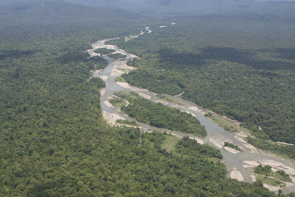 Wamena Papua Arabica Coffee | Guide & Flavor Profile